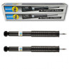 COPPIA AMMORTIZZATORI POSTERIORI SMART 451