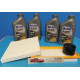 TAGLIANDO COMPLETO SMART 1.00 cc (451) dal 2007